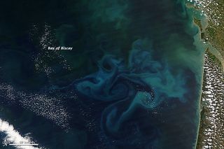 NASA's Aqua satellite captured this natural-color image of phytoplankton blooms on April 20, 2013, in France's Bay of Biscay.