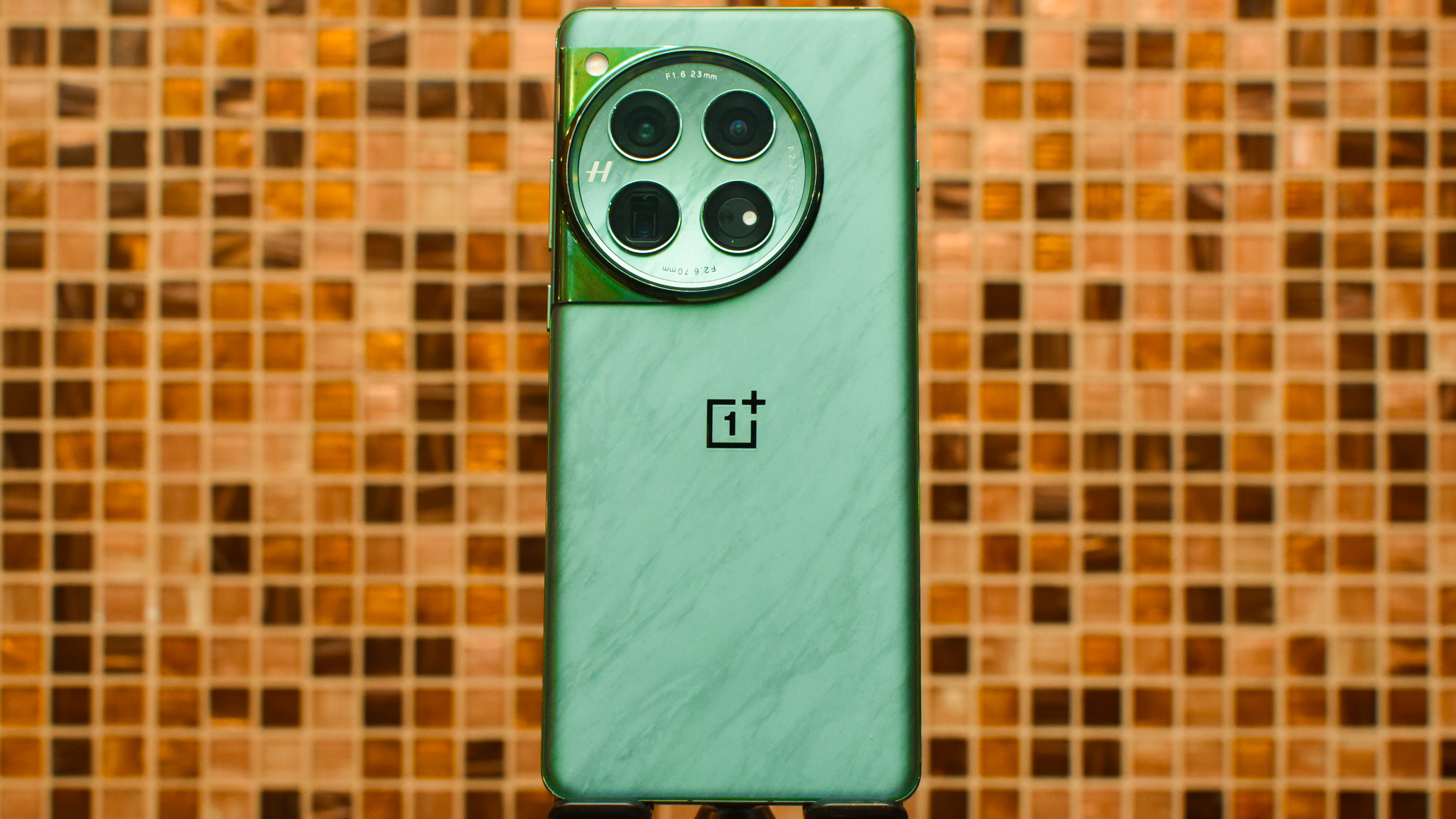 OnePlus 12 from the back in Flowy Emerald color