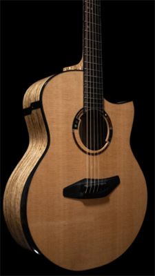 JOI Guitars hemp wood acoustic