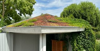 Small garden building with a sedum green roof