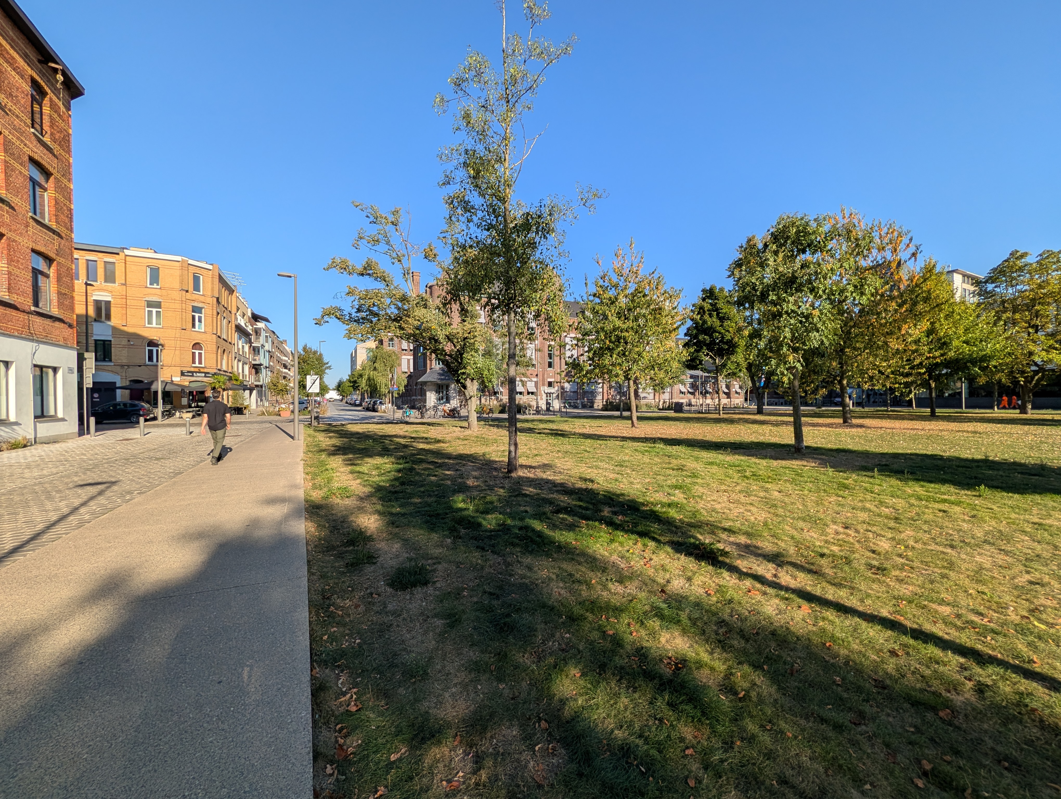 Google Pixel 10 Pro voorbeeldfoto