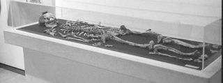 This cremated male skeleton may belong to Alexander the Great's father … or his half brother.