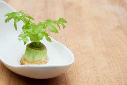 Cut Stalk Bottom Of Celery In White Glass Dish