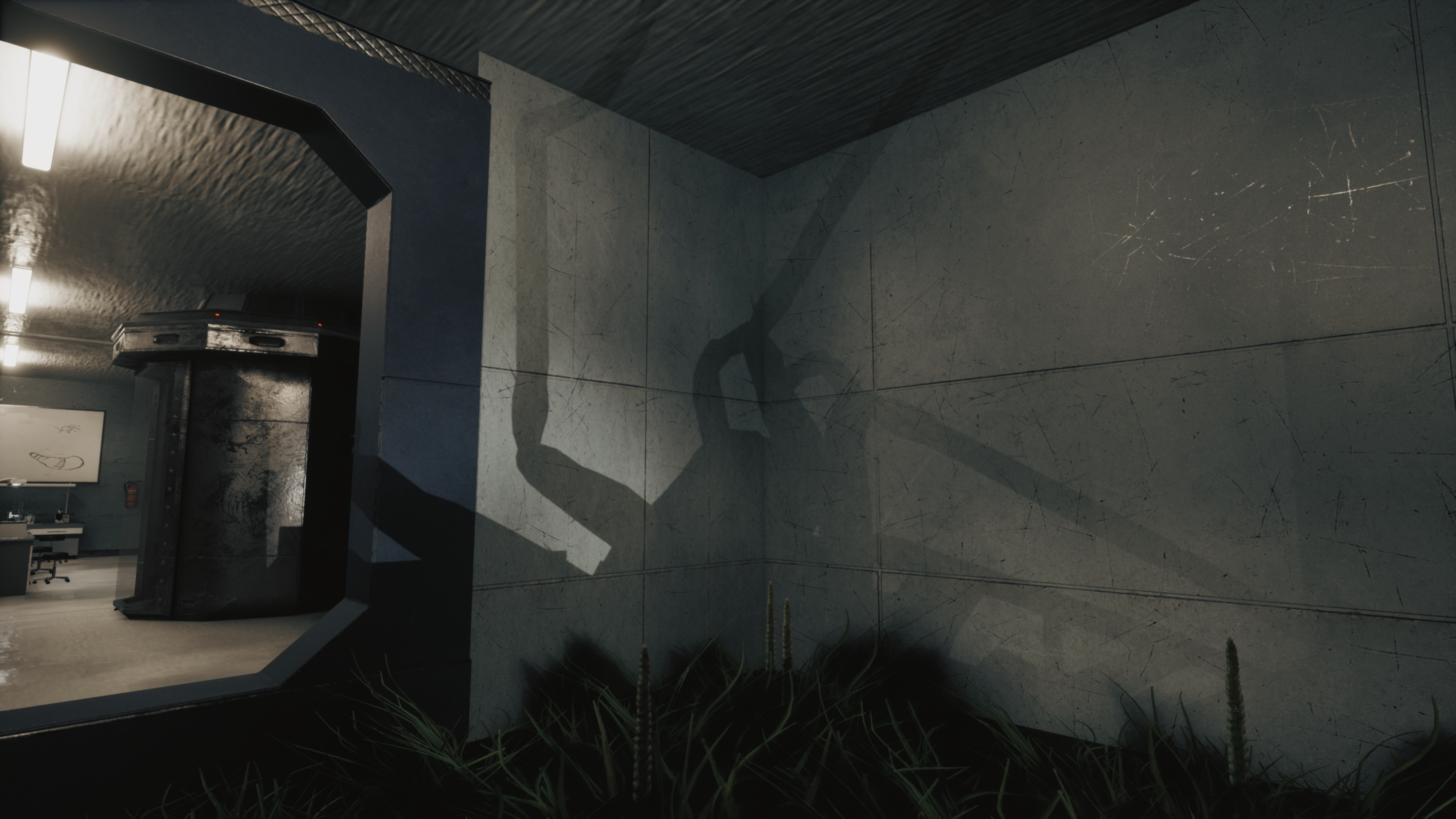 the shadow of a giant spider