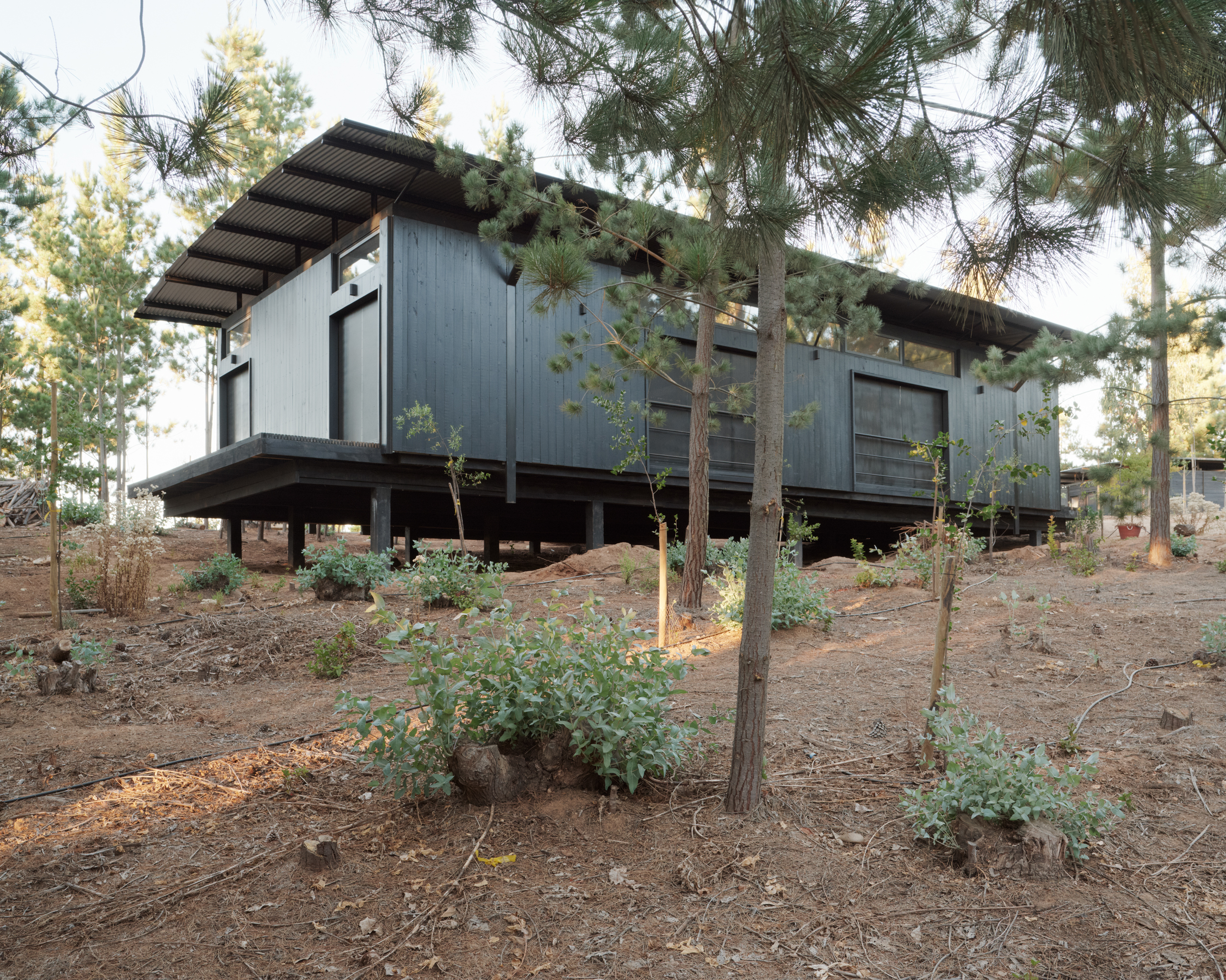 Dharq Arquitectos