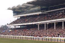 cheltenham_crowd.jpg