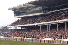 cheltenham_crowd.jpg