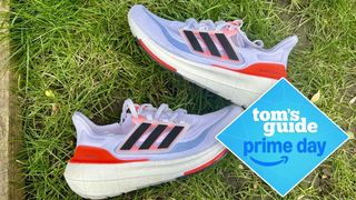 a photo of the adidas ultraboost light