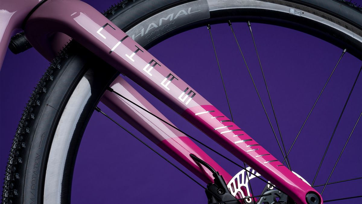 Colnago G3X Special Edition Purple Rain fork detail