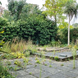 paved garden before