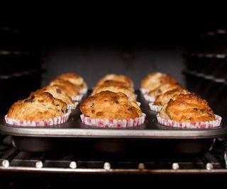 Muffins on a tray in the oven.