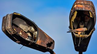 A kestrel perches inside a rusty street lamp against a blue sky.