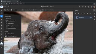 Adobe Photoshop for the web with selection tools showing over a photo of a baby elephant