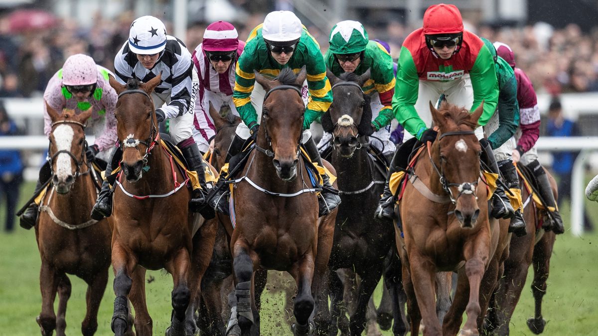 Gold Cup 2020 watch Cheltenham live today from anywhere TechRadar