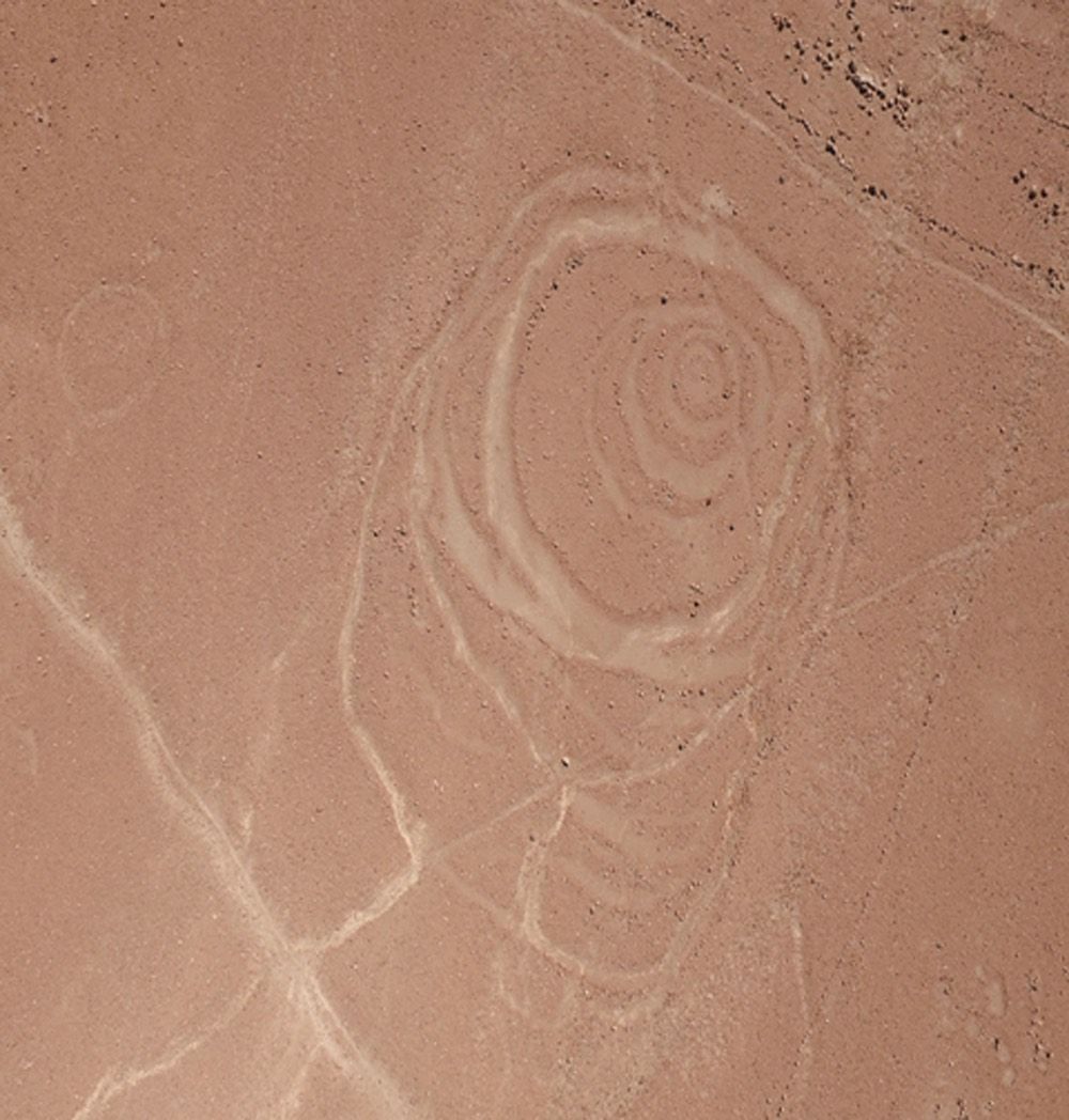 One of the complex circular geoglyphs the team mapped at Quilcapampa, in the Sihuas Valley in Peru, has at least six rings arranged in an irregular pattern. 