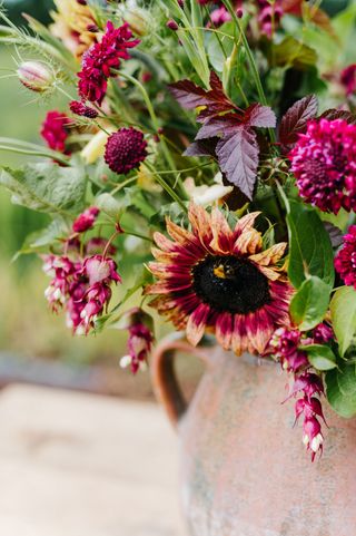 terracotta vase of mexican sunflowers and other deeply colored flowers