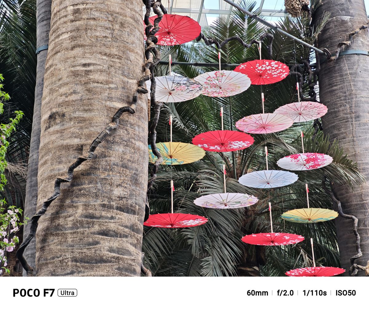 A photo captured on the Poco F7 Ultra