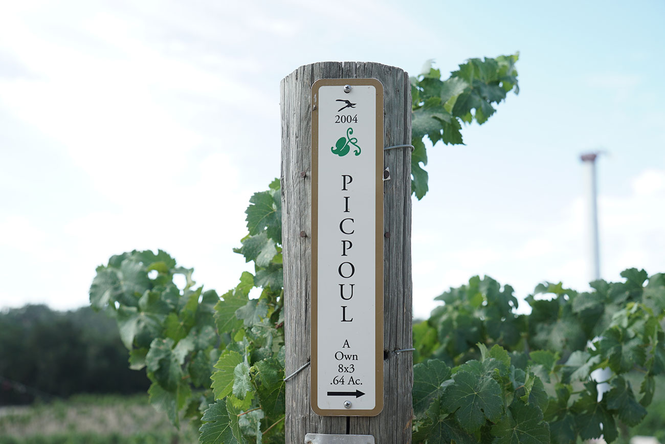 Picpoul-Blanc-Sign-Post.jpg