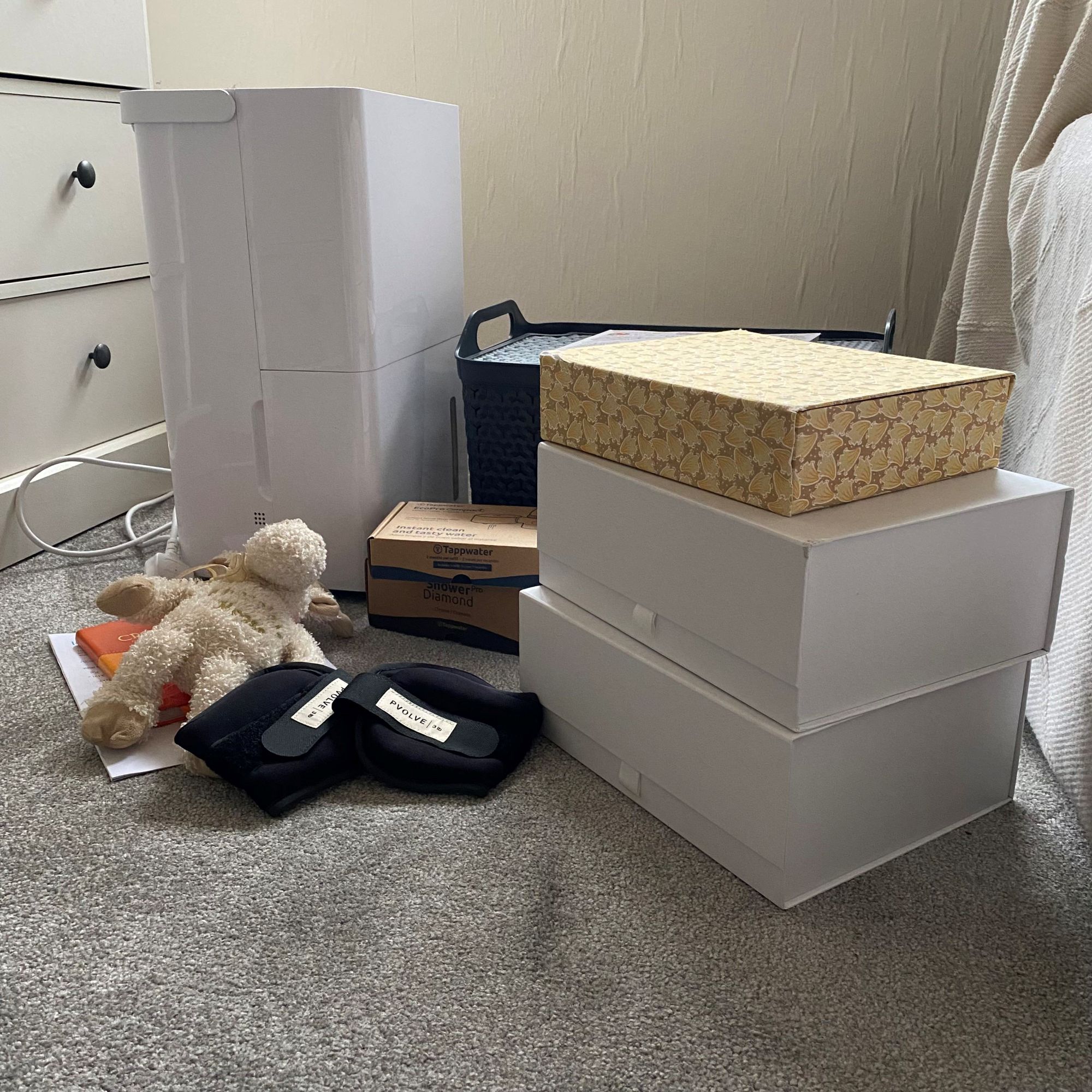 Katie tries the Japanese 5S method for organising the home