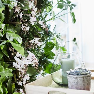 living green plant wall with white flower and candle