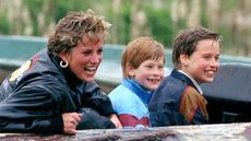 Prince William and Harry have agreed to no longer publicly commemorate Diana's death