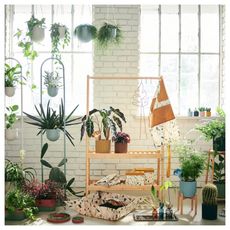 Room filled with plant accessories