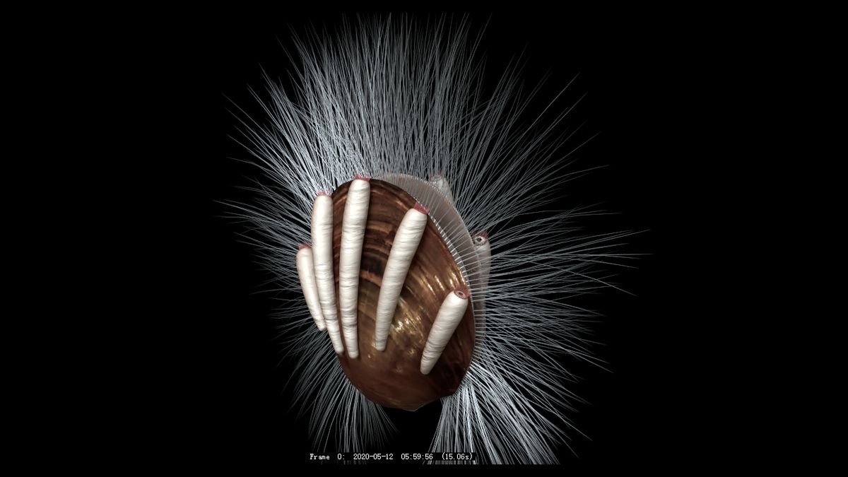 In this reconstruction of the Cambrian brachiopod Neobolus wulongqingensis, tubelike parasites cling to its shell.