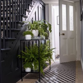 Hallway with white door open and loads of plants on a black metal console