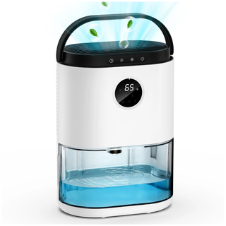 A home dehumidifier