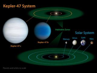 Binary system Kepler-47 contains at least one planet in its habitable zone. The two stars have different masses, however, and so the habitability of such planets is limited by the shorter lifetime of the larger and more massive star.