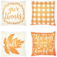 4. Okuna Outpost Fall Pillow Cover set | Was $21.99