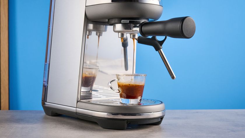 the breville bambino / sage bambino in silver photographed against a blue background with a wooden feature wall, showing the steam wand, group head, water tank, button controls, and espresso