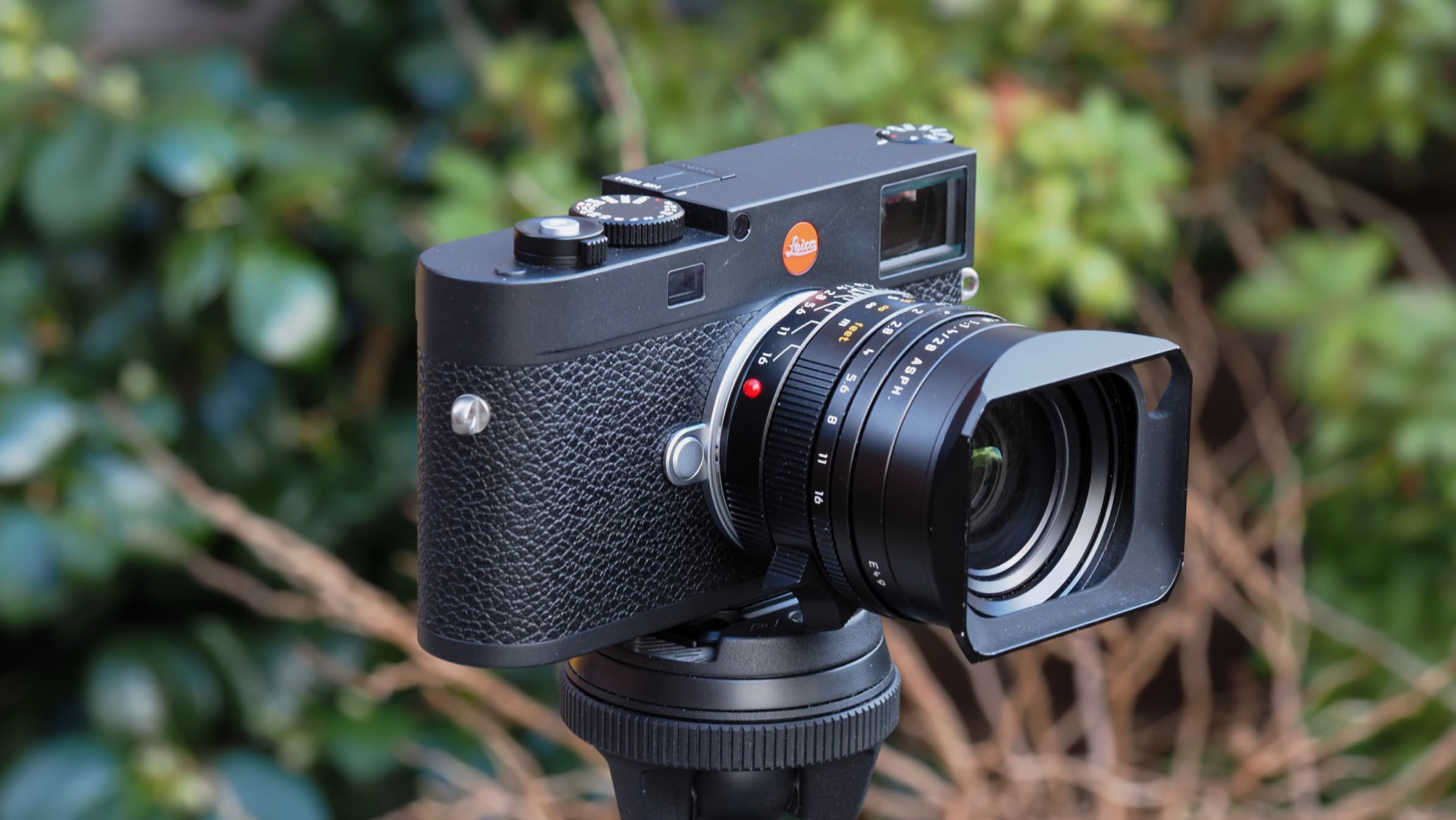 Does Leica M11 have focus peaking?