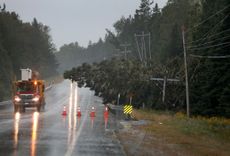 EASTPORT MAINE SEPTEMBER 16 A pine tree lays on power lines after it was knocked over due to PostTropical Cyclone Lee on September 16 2023 in Eastport Maine Formerly a hurricane the storm was downgraded but forecasters say it will remain large and dangerous Photo by Joe RaedleGetty Images