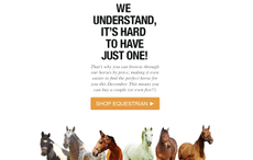 horsemart-email.png