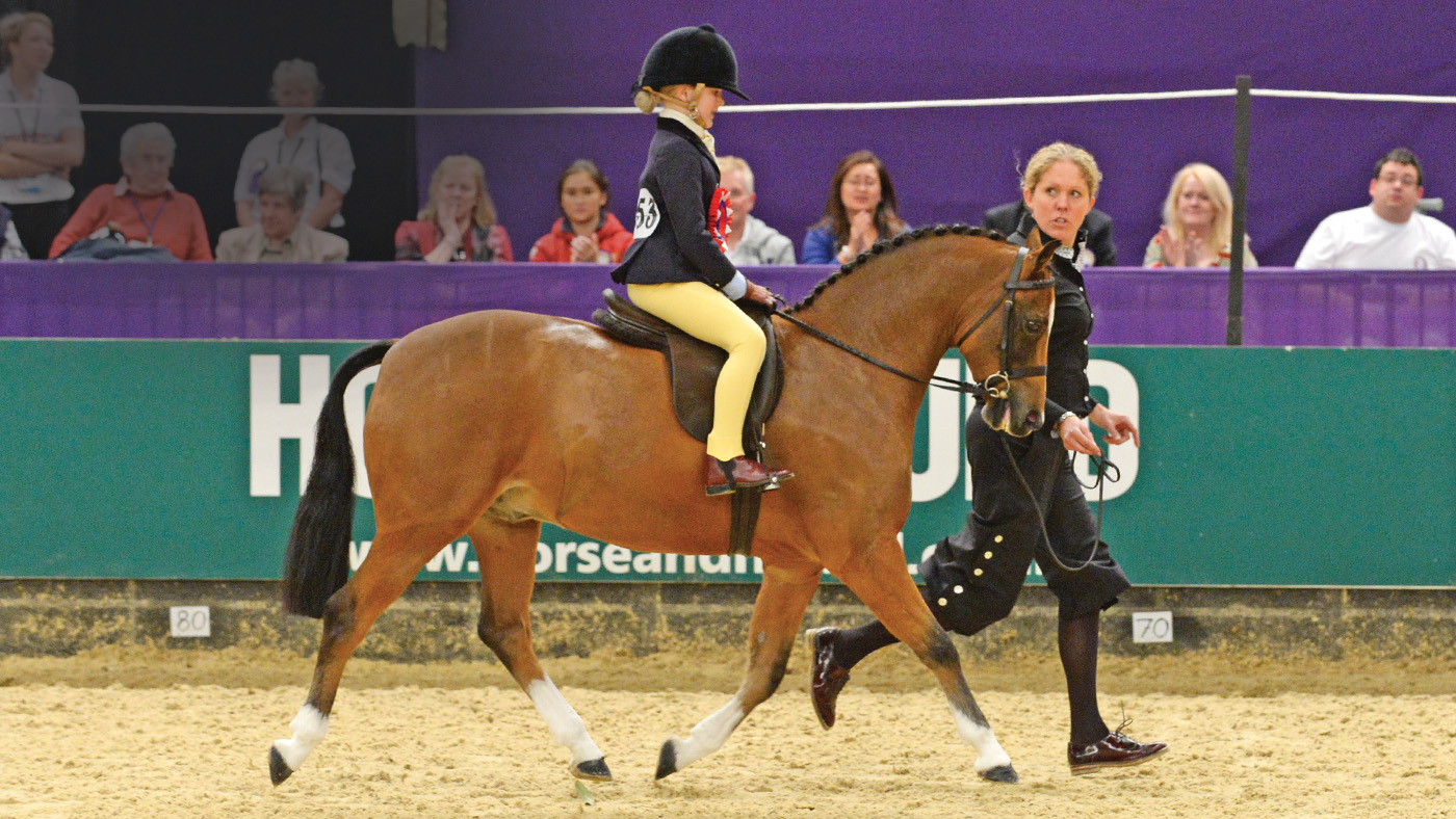 Joebex Chitty Chitty Bang Bang, a great example of a lead-rein pony