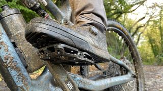 A very muddy MTB shoe and bike