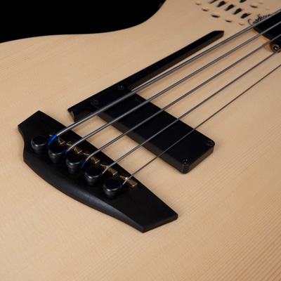 Godin fretless bass guitar