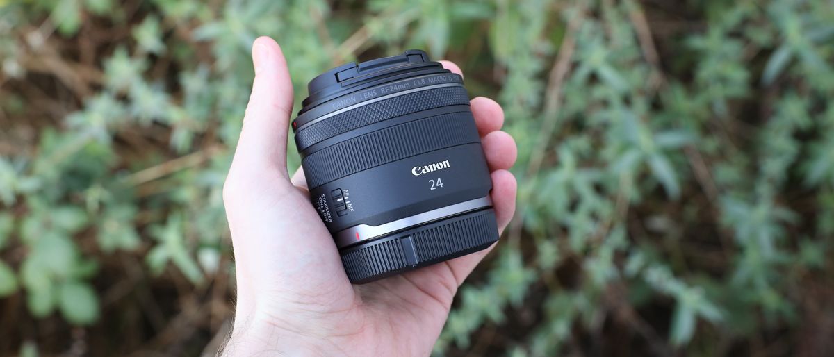 canon rf 24mm f1.8 macro is stm lens