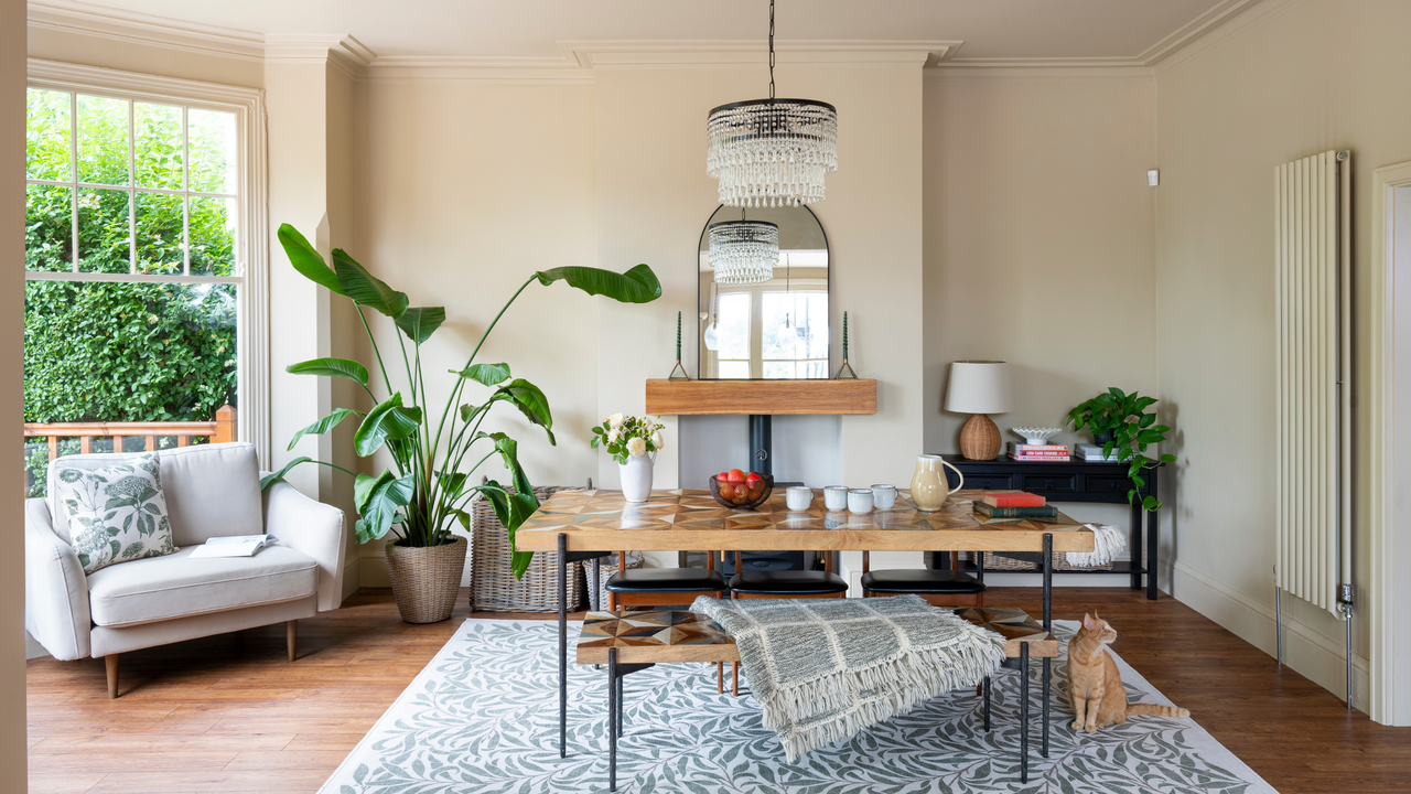 A bright and airy living room with the sofa in the corner next to a large houseplant.