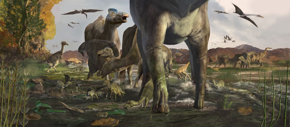 Huge Trove Of Dinosaur Footprints Discovered In Alaska Live Science