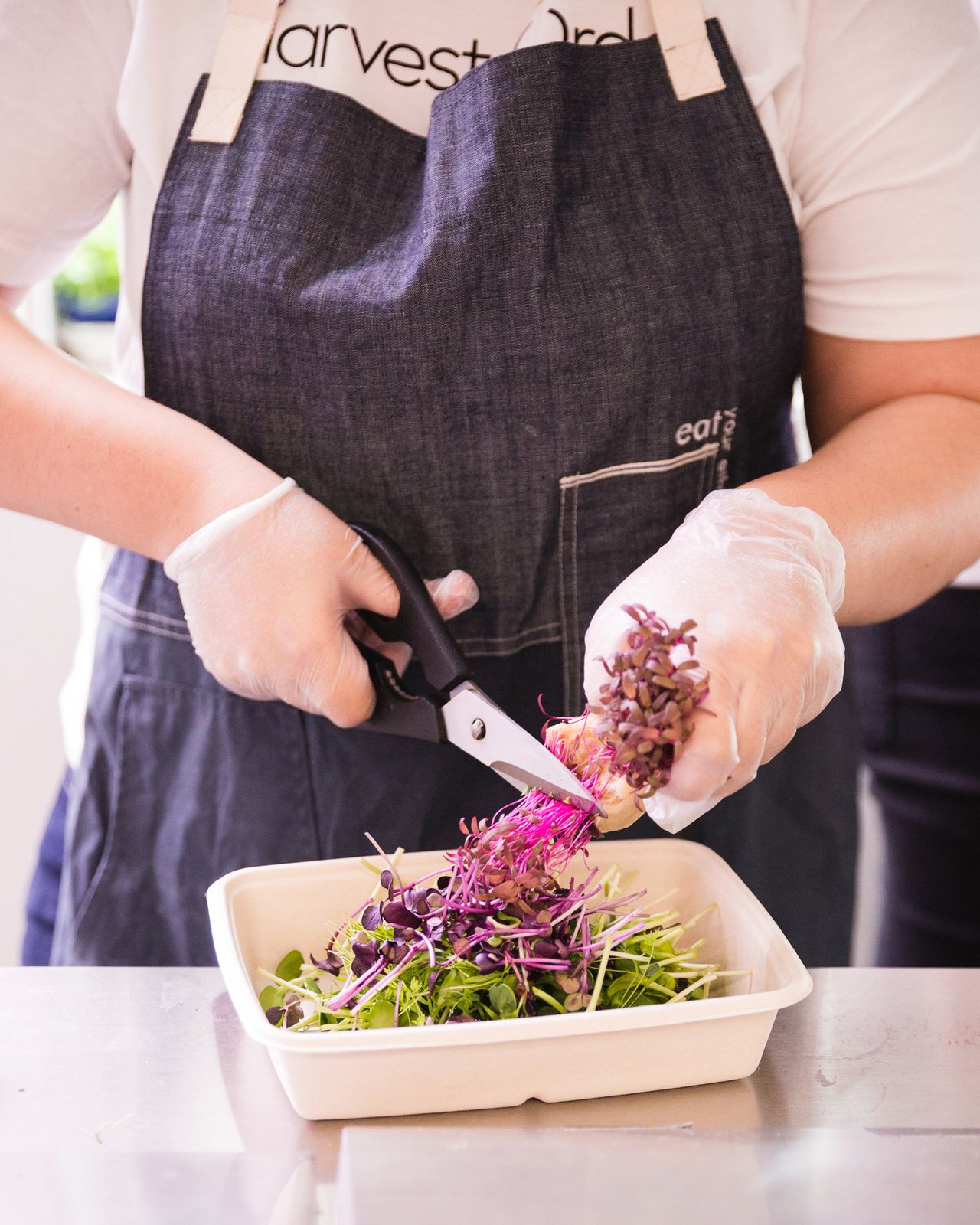 This Futuristic Salad Bar Brings A Whole New Meaning To Farm To Table   GevN36B3acnNC3yvgKrT7U 1280 80 