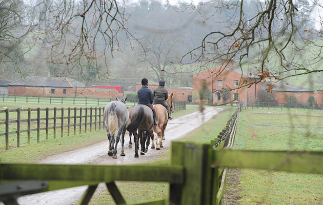 The Belvoir estate provides the ideal surroundings for exercising the horses