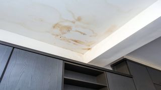Brown water stains visible on white ceiling above dark wood unit