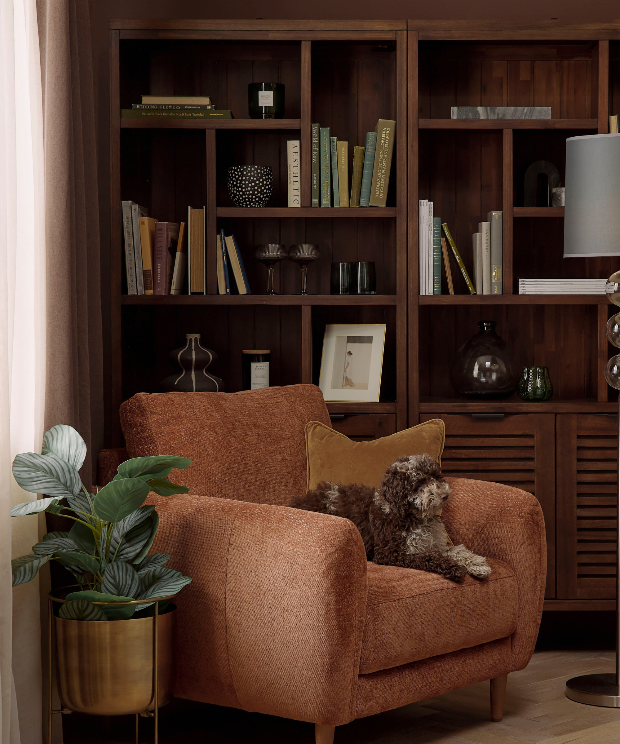 Brown armchair in front of a wooden storage unit