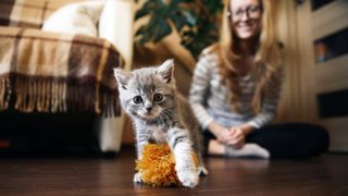 Woman playing with her kitten