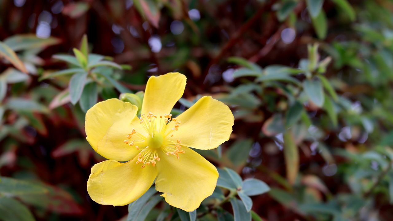 Canon EOS 90D review