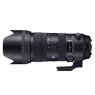 Sigma 150-600mm f/5-6.3 DG OS HSM lens on a white background