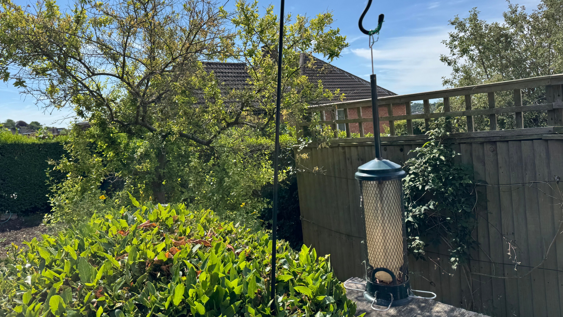 A bird feeder in a garden