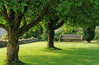 Clovelly Court, Devon